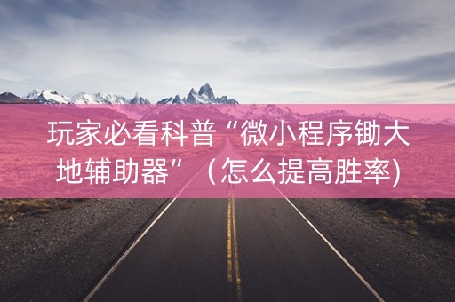 玩家必看科普“微小程序锄大地辅助器”（怎么提高胜率)