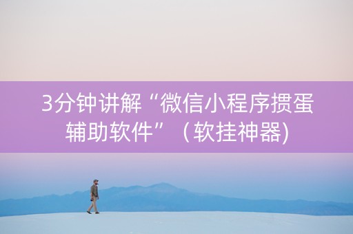 3分钟讲解“微信小程序掼蛋辅助软件”（软挂神器)