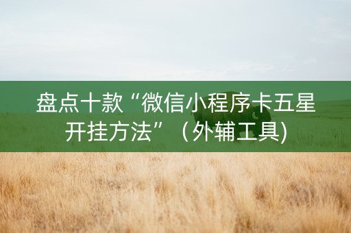 盘点十款“微信小程序卡五星开挂方法”（外辅工具)