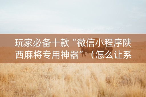 玩家必备十款“微信小程序陕西麻将专用神器”（怎么让系统给自己好牌)