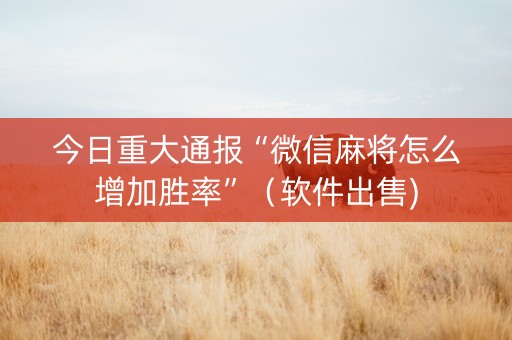 今日重大通报“微信麻将怎么增加胜率”（软件出售)
