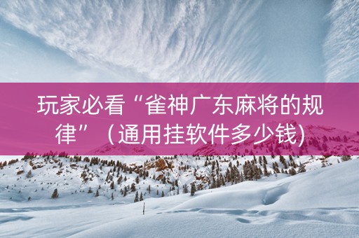 玩家必看“雀神广东麻将的规律”（通用挂软件多少钱)