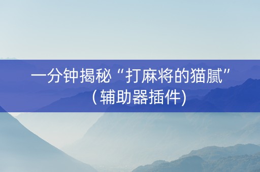 一分钟揭秘“打麻将的猫腻”（辅助器插件)