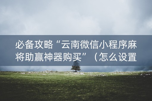 必备攻略“云南微信小程序麻将助赢神器购买”（怎么设置才能赢)