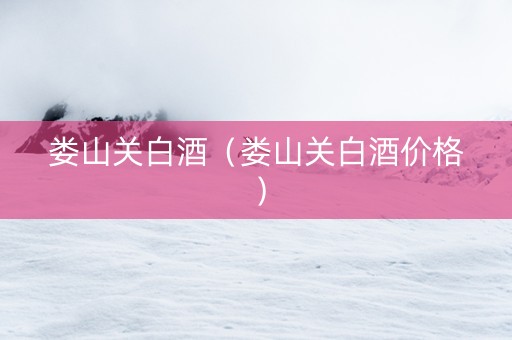 娄山关白酒（娄山关白酒价格）