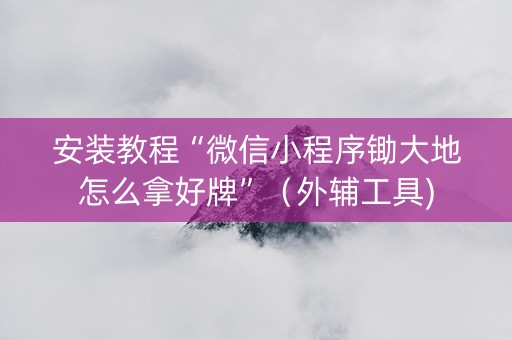 安装教程“微信小程序锄大地怎么拿好牌”（外辅工具)