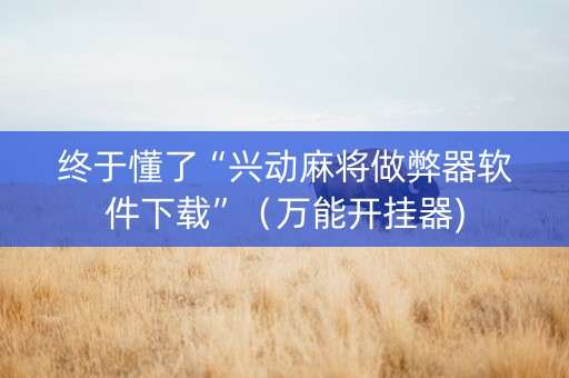 终于懂了“兴动麻将做弊器软件下载”（万能开挂器)