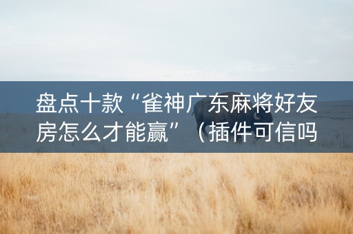 盘点十款“雀神广东麻将好友房怎么才能赢”（插件可信吗)