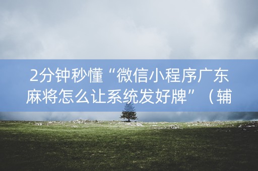 2分钟秒懂“微信小程序广东麻将怎么让系统发好牌”（辅助神器免费)