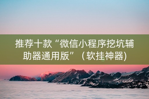 推荐十款“微信小程序挖坑辅助器通用版”（软挂神器)