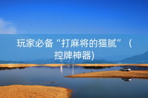 玩家必备“打麻将的猫腻”（控牌神器)