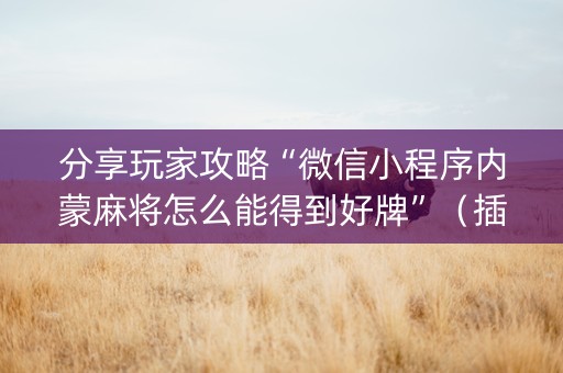 分享玩家攻略“微信小程序内蒙麻将怎么能得到好牌”（插件可信吗)