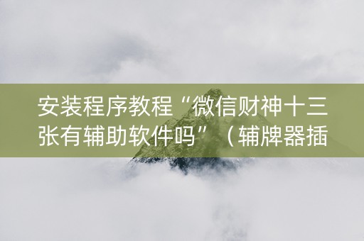 安装程序教程“微信财神十三张有辅助软件吗”（辅牌器插件购买)