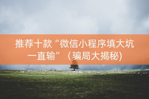 推荐十款“微信小程序填大坑一直输”（骗局大揭秘)