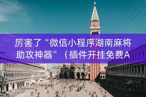 厉害了“微信小程序湖南麻将助攻神器”（插件开挂免费AI)