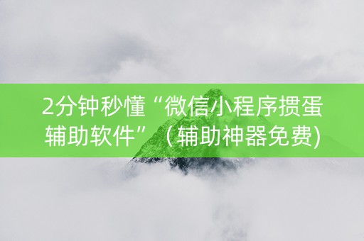 2分钟秒懂“微信小程序掼蛋辅助软件”（辅助神器免费)