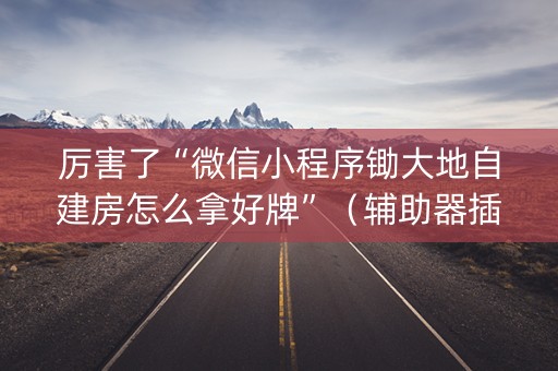 厉害了“微信小程序锄大地自建房怎么拿好牌”（辅助器插件)