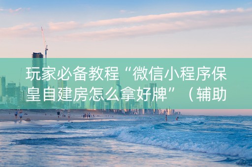 玩家必备教程“微信小程序保皇自建房怎么拿好牌”（辅助挂发牌规律)