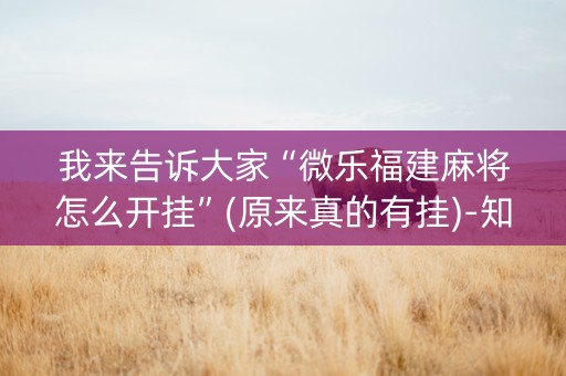 我来告诉大家“微乐福建麻将怎么开挂”(原来真的有挂)-知乎