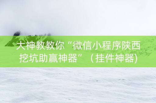 大神教教你“微信小程序陕西挖坑助赢神器”（挂件神器)