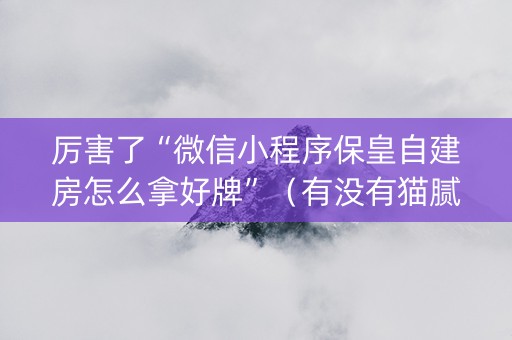 厉害了“微信小程序保皇自建房怎么拿好牌”（有没有猫腻)
