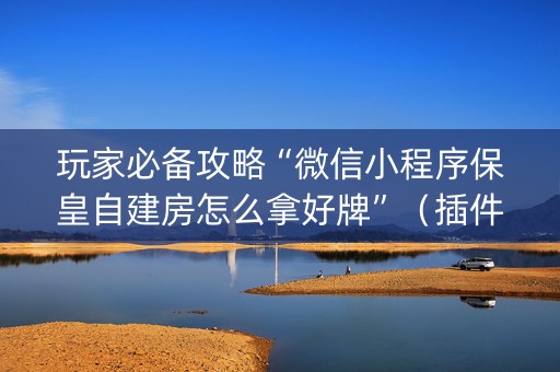 玩家必备攻略“微信小程序保皇自建房怎么拿好牌”（插件可信吗)