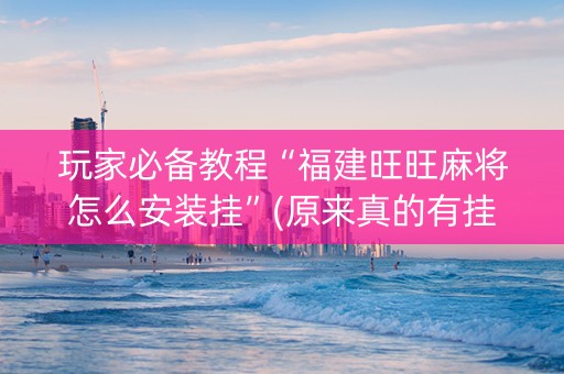 玩家必备教程“福建旺旺麻将怎么安装挂”(原来真的有挂)-知乎