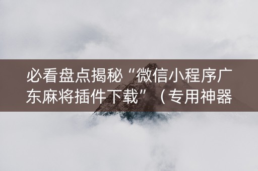必看盘点揭秘“微信小程序广东麻将插件下载”（专用神器下载)