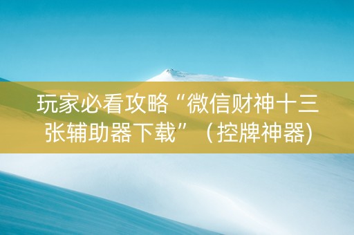 玩家必看攻略“微信财神十三张辅助器下载”（控牌神器)