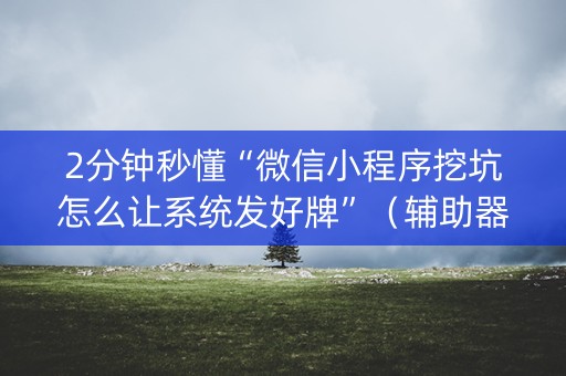 2分钟秒懂“微信小程序挖坑怎么让系统发好牌”（辅助器通用版)