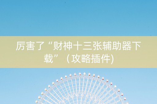 厉害了“财神十三张辅助器下载”（攻略插件)