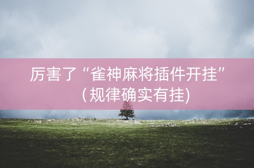 厉害了“雀神麻将插件开挂”（规律确实有挂)
