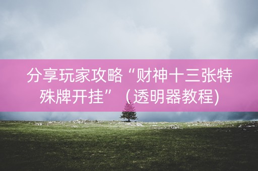 分享玩家攻略“财神十三张特殊牌开挂”（透明器教程)