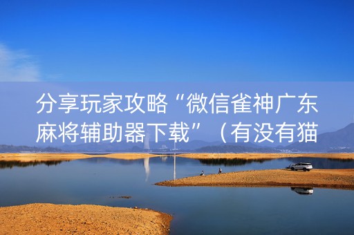 分享玩家攻略“微信雀神广东麻将辅助器下载”（有没有猫腻)
