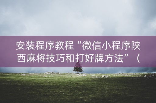 安装程序教程“微信小程序陕西麻将技巧和打好牌方法”（攻略插件)