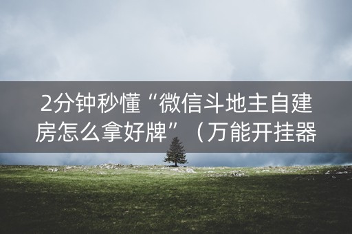 2分钟秒懂“微信斗地主自建房怎么拿好牌”（万能开挂器)
