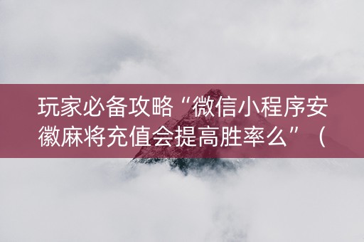 玩家必备攻略“微信小程序安徽麻将充值会提高胜率么”（辅助软件)