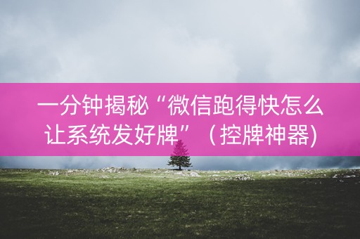 一分钟揭秘“微信跑得快怎么让系统发好牌”（控牌神器)