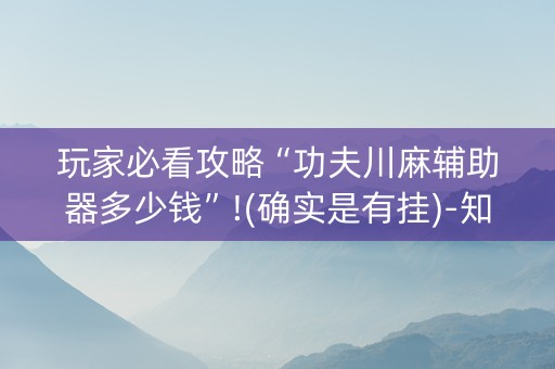 玩家必看攻略“功夫川麻辅助器多少钱”!(确实是有挂)-知乎