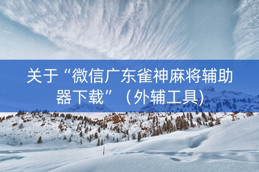 关于“微信广东雀神麻将辅助器下载”（外辅工具)