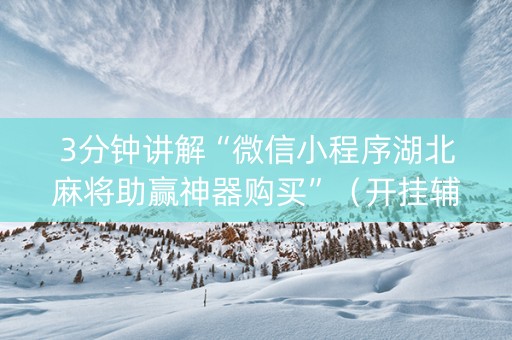 3分钟讲解“微信小程序湖北麻将助赢神器购买”（开挂辅助器脚本)
