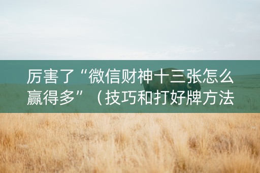 厉害了“微信财神十三张怎么赢得多”（技巧和打好牌方法)