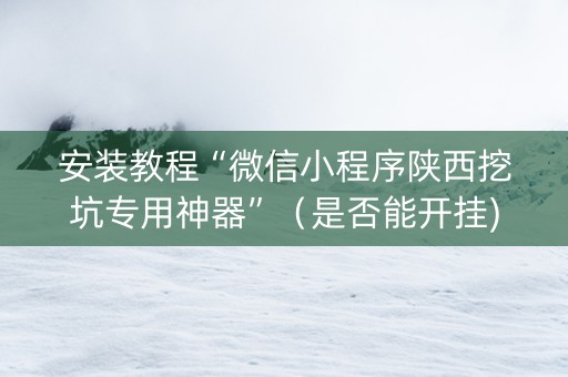安装教程“微信小程序陕西挖坑专用神器”（是否能开挂)