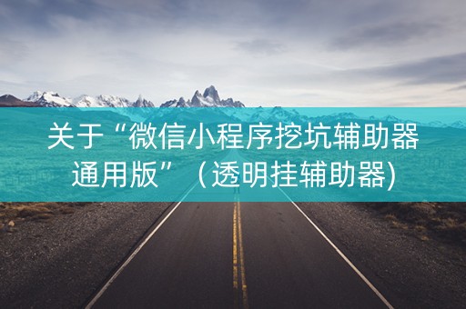 关于“微信小程序挖坑辅助器通用版”（透明挂辅助器)