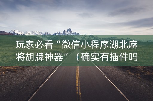 玩家必看“微信小程序湖北麻将胡牌神器”（确实有插件吗)