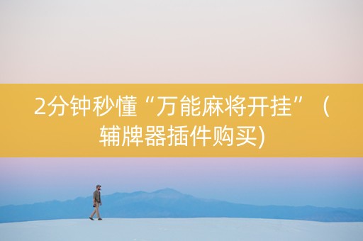2分钟秒懂“万能麻将开挂”（辅牌器插件购买)
