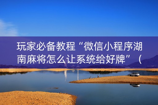 玩家必备教程“微信小程序湖南麻将怎么让系统给好牌”（必赢神器辅助器)