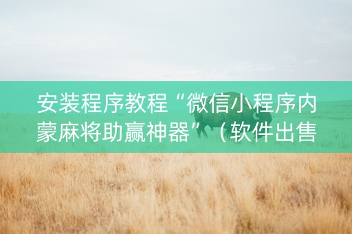 安装程序教程“微信小程序内蒙麻将助赢神器”（软件出售)