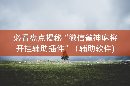 必看盘点揭秘“微信雀神麻将开挂辅助插件”（辅助软件)