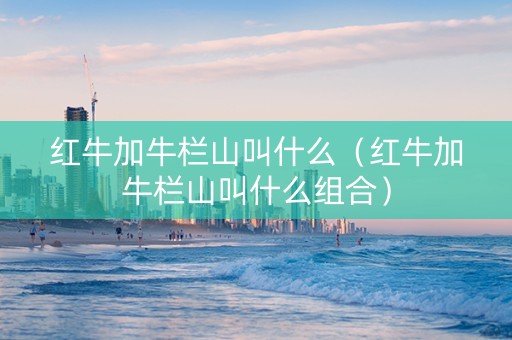 红牛加牛栏山叫什么（红牛加牛栏山叫什么组合）